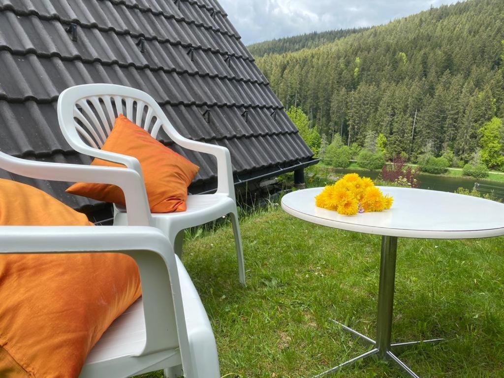 Haus Adler - Komplettes Am Badesee * Erzgrube